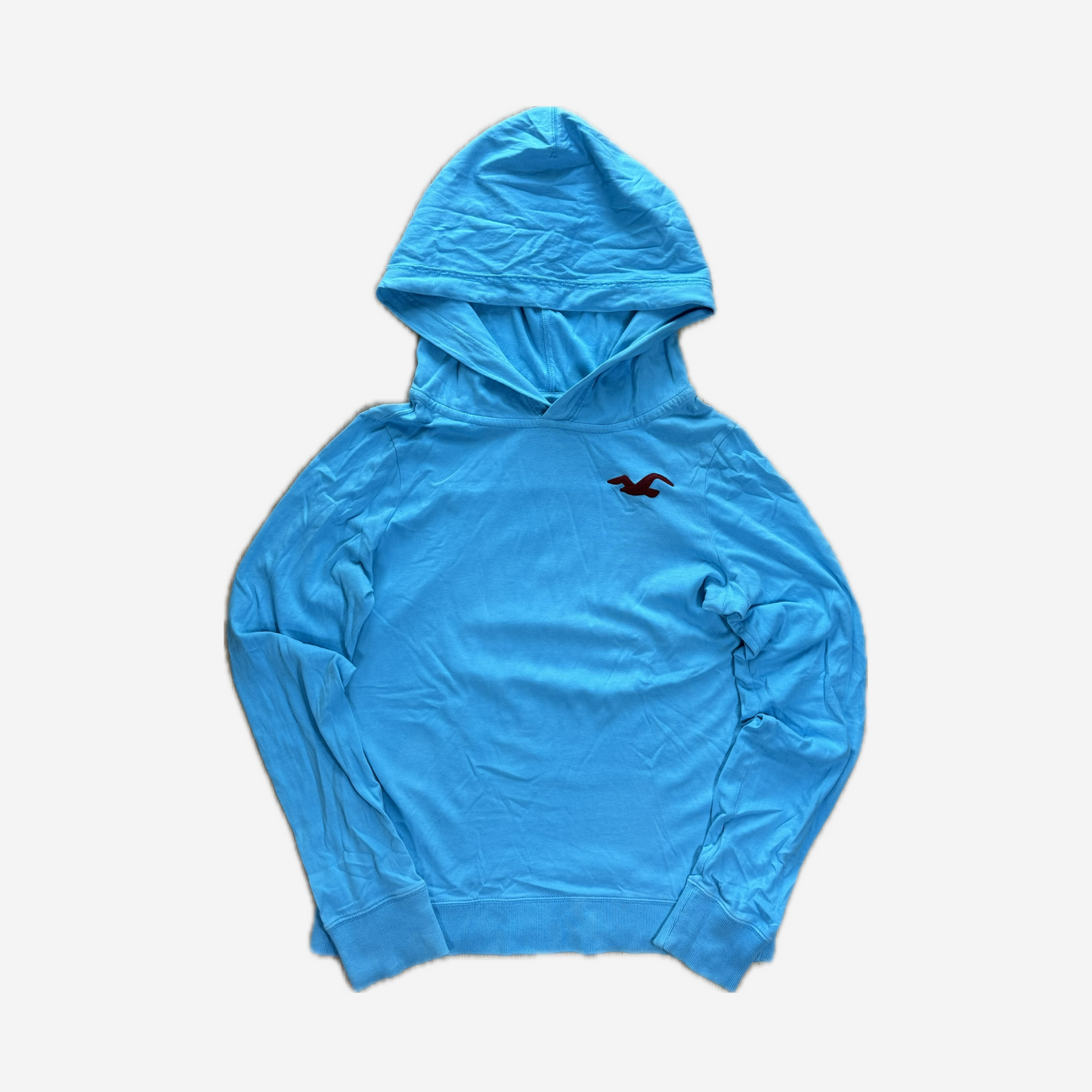 Sky Blue Hollister Logo Hoodie